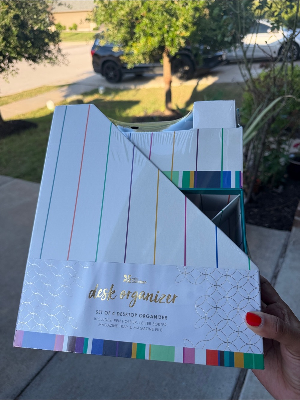 Erin Condren Desk Organizer - White with Multicolor Stripes